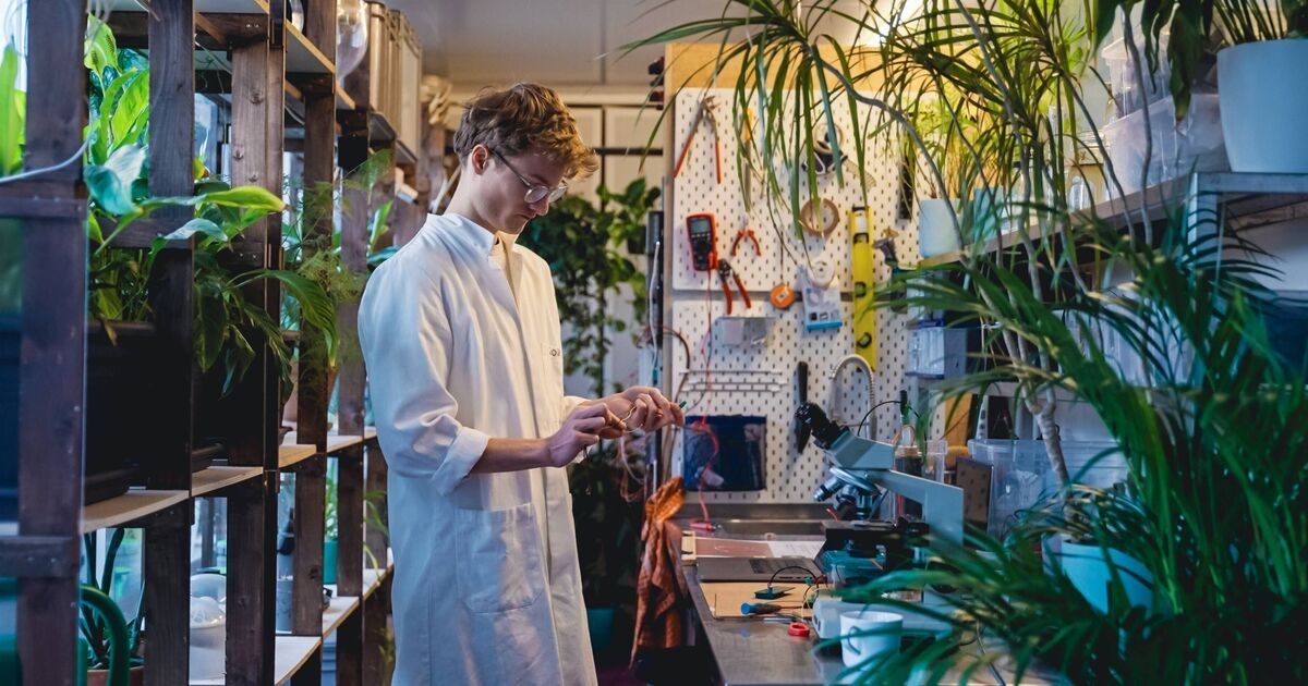 Se lleva a cabo la primera sesión fotográfica del mundo "impulsada por plantas" para capturar imágenes impresionantes de ele