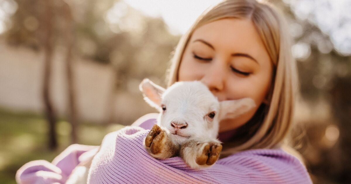 Los vegetarianos no son más amables que los carnívoros, según una investigación