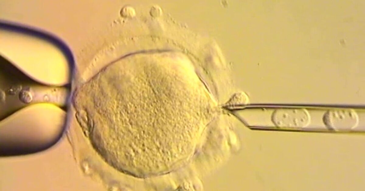 Des bébés naissent à partir de l'ADN de trois personnes : les scientifiques font un bond en avant dans la médecine