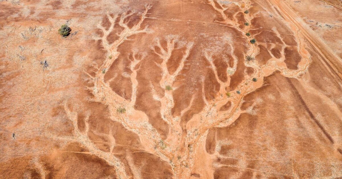 Climate change could make it dangerous for humans to go outside – we must act