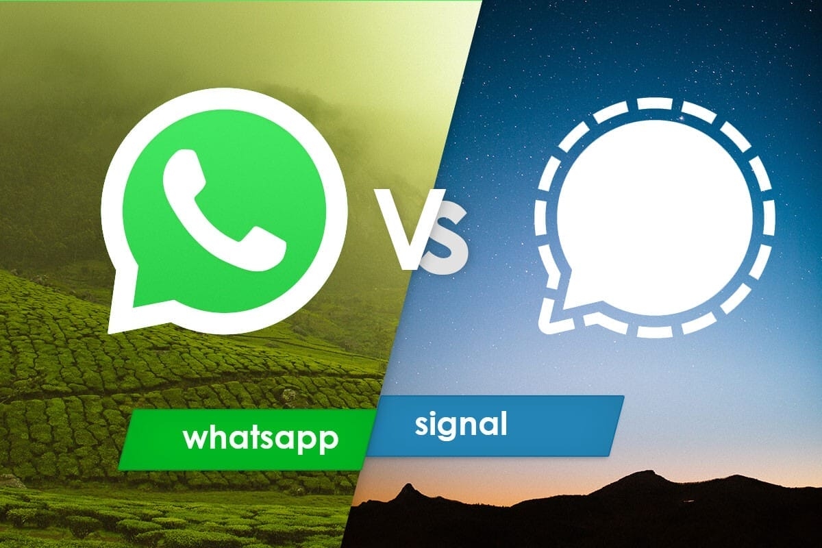 WhatsApp vs. Signal: ¿Cuál es MEJOR para proteger tu privacidad después de los 40?