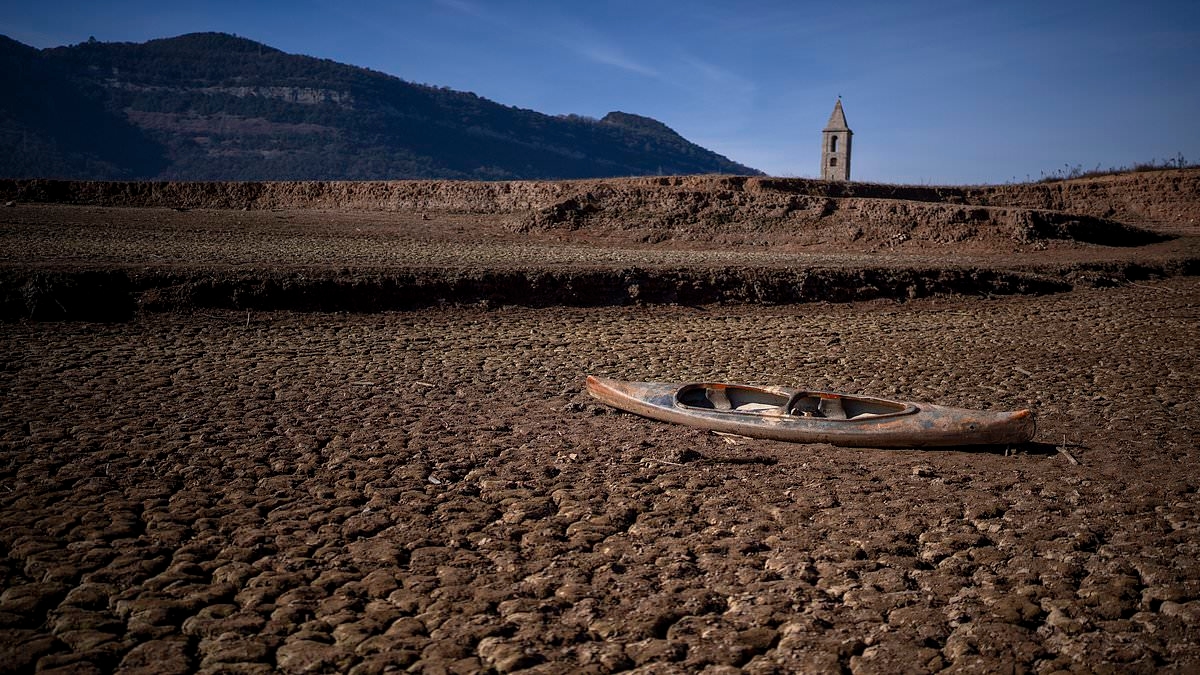 Climate change is spiralling out of control: Last decade was the HOTTEST on record - and scientists warn there's 'no sign of respite over the coming years'