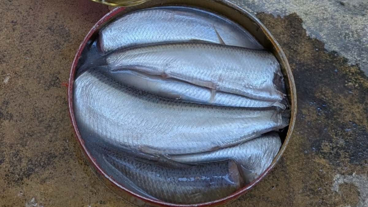 Eu experimentei a comida MAIS CHEIROSA do mundo, que é tão fedorenta que é proibida pelas companhias aéreas.
