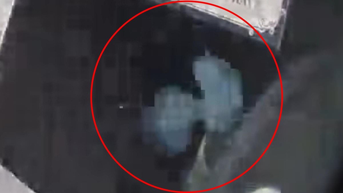 Bizarre creature with elongated head caught on doorbell camera sparks fears of visitors from another planet