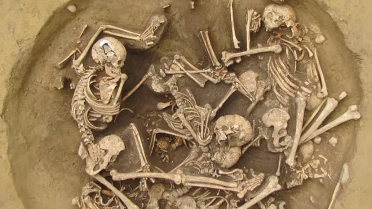 Gruesome pit of tortured warriors is uncovered in France after being laid undiscovered for 6,000 years