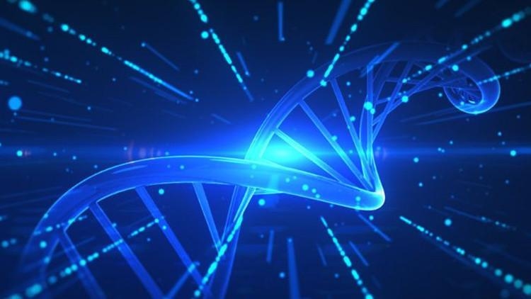 Une nouvelle ère commence en génétique : le projet « Génome humain synthétique » a débuté