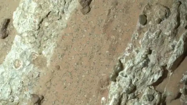 Traces of past life may have been found in Mars' 'leopard-print' rocks
