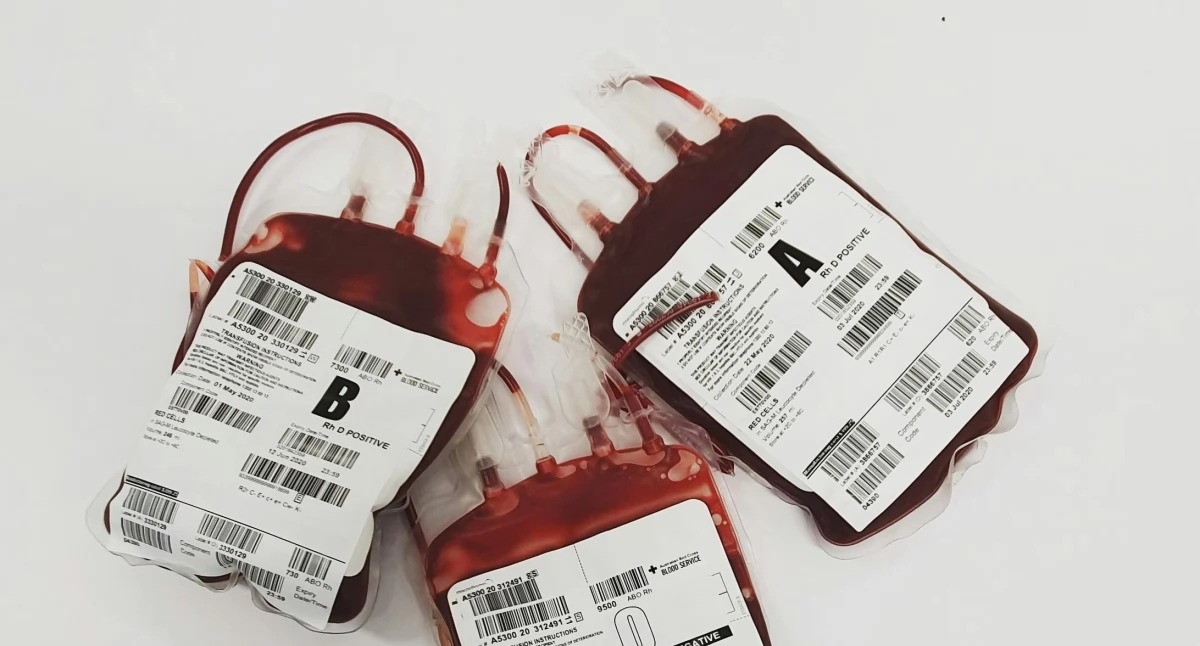 Anemia - sintomi e trattamento dell'anemia
