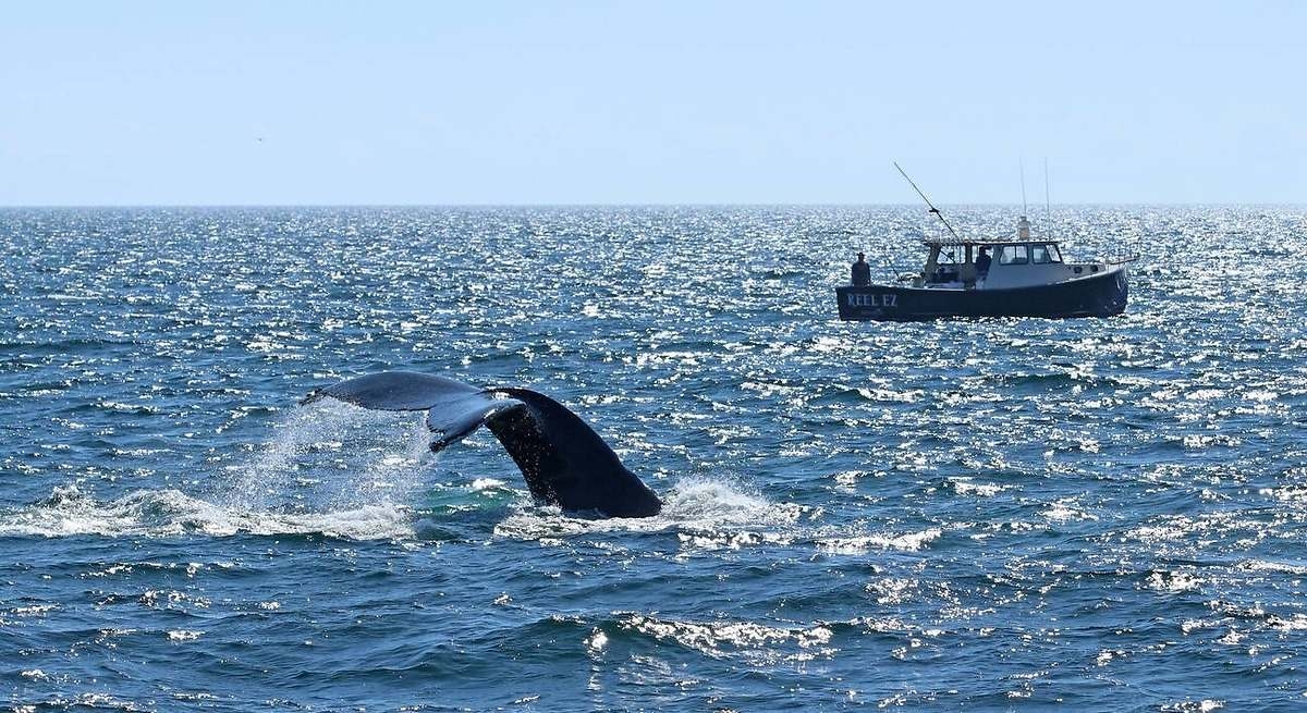 Scientists issue a warning about the worrying pattern they've discovered in the Atlantic: "Something is happening, and it's real."