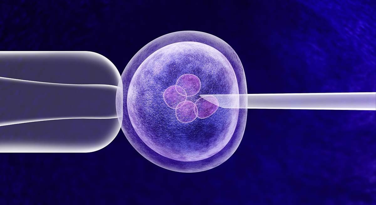 Silikon Vadisi'nin yeni çılgınlığı olağanüstü bebeklerle ilgili: Embriyo taraması için genetik test endüstrisi doğuyor.