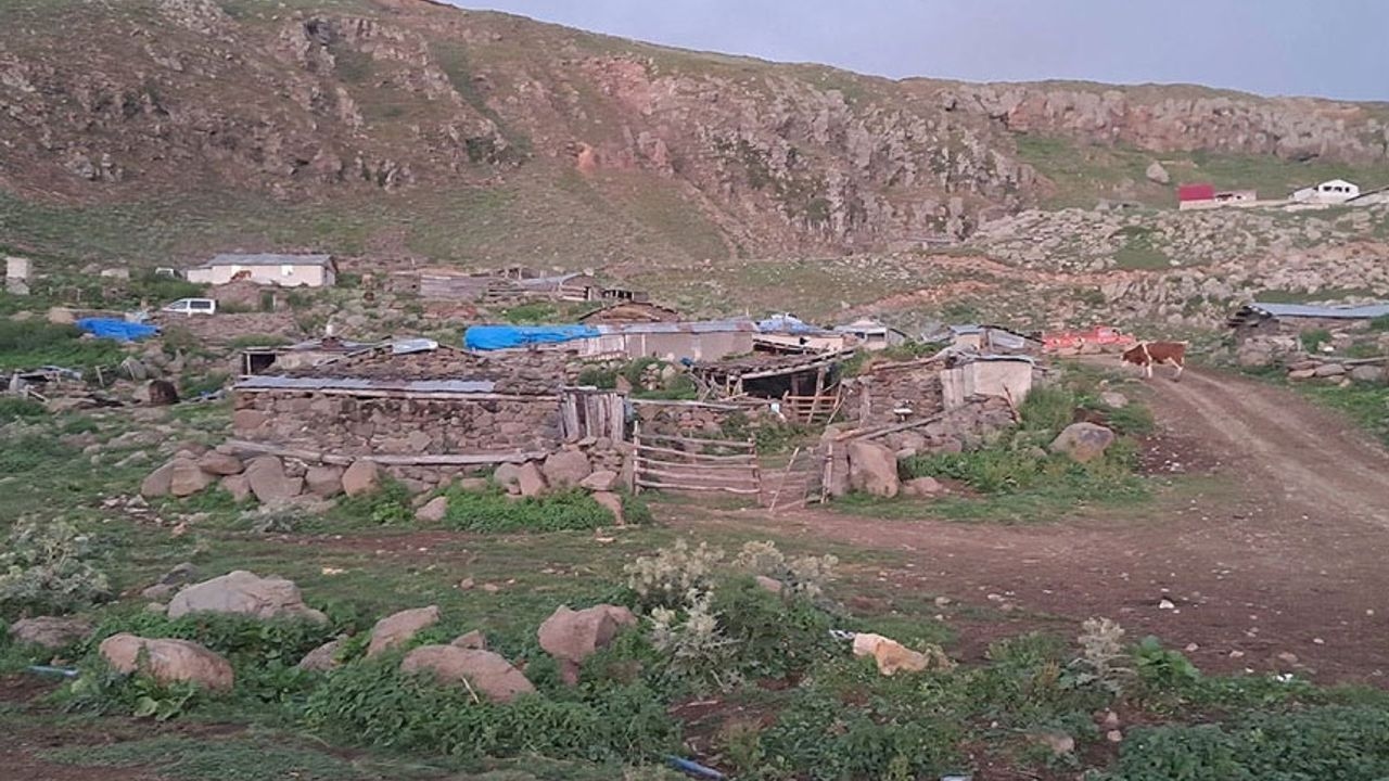 Muhtar isyan etti: Köyde sağlam hayvan kalmadı, yetkililer sessiz