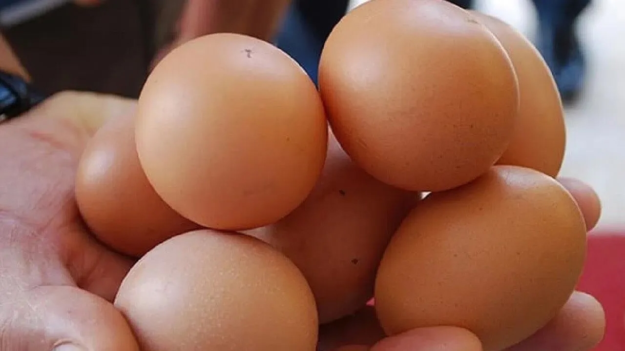 Yumurta kalbe zararlı mı? Uzman isimden kritik açıklama