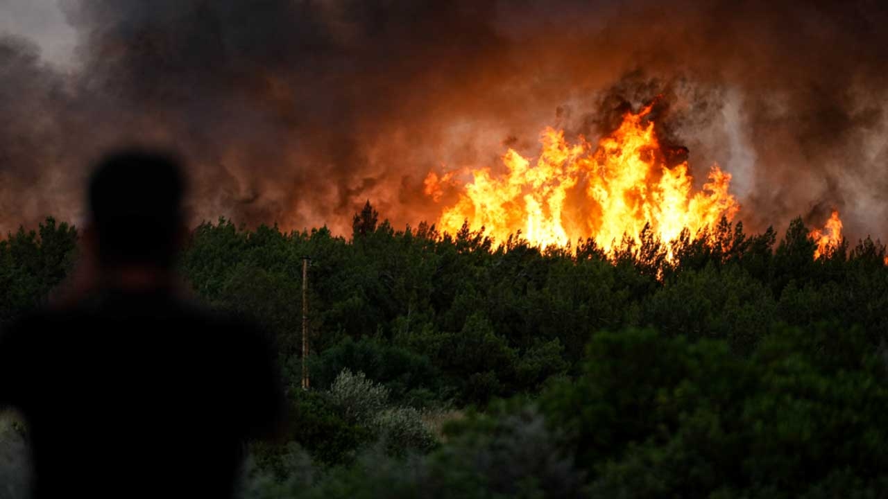 Démenti des allégations du « PKK » concernant les incendies de forêt