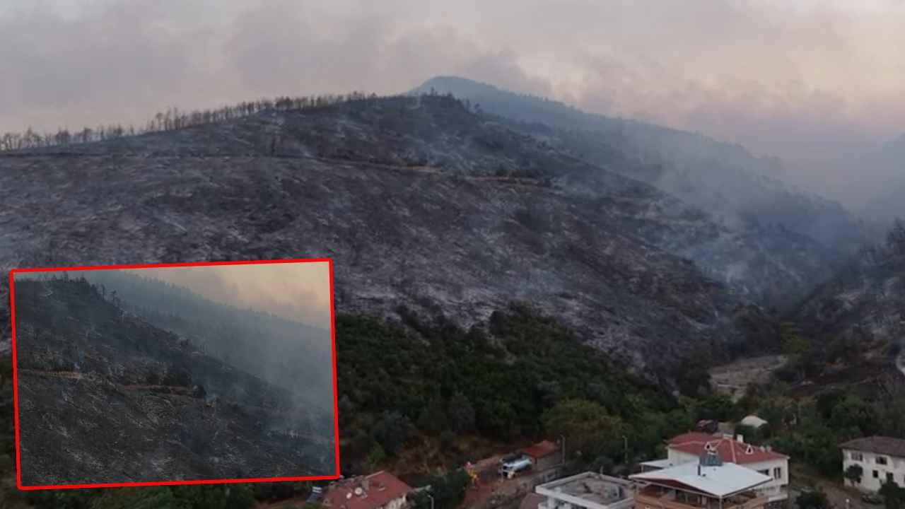 Bursa'daki yangının boyutu gün ışıklarıyla ortaya çıktı
