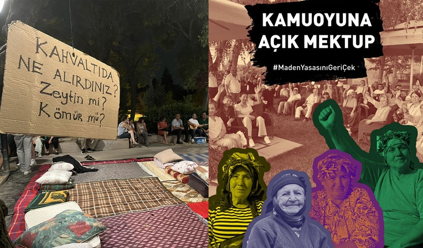 Otwarty list mieszkańców wsi przeciwko ustawie o oliwkach
