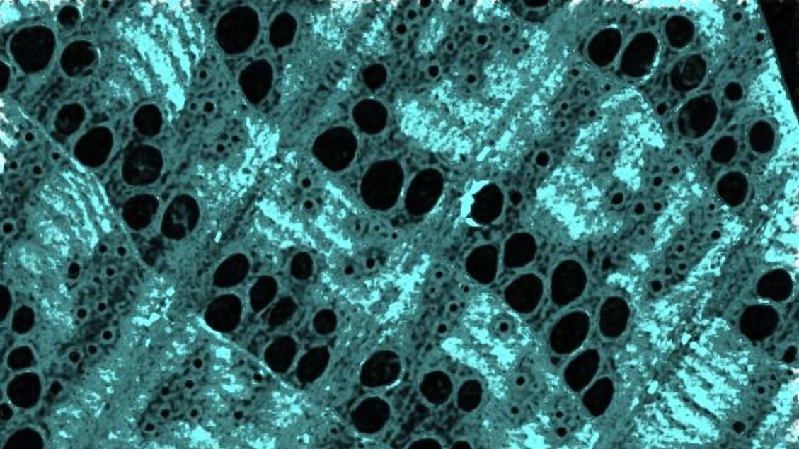 Wood Reinforced with Nano-Iron for the Green Materials of the Future