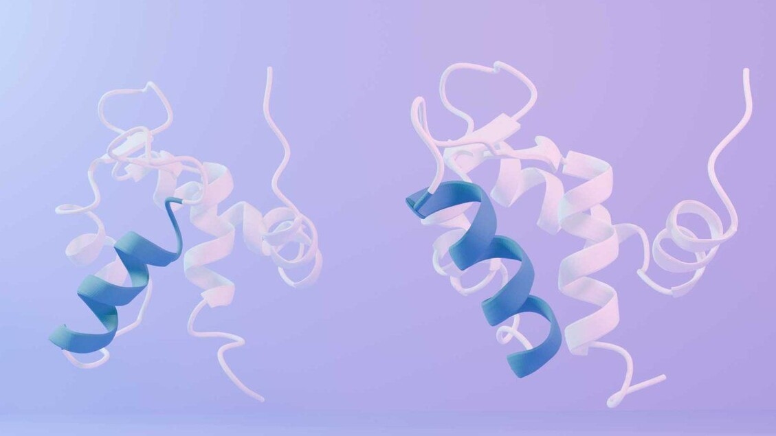 First Artificial Protein Able to Change Shape Built
