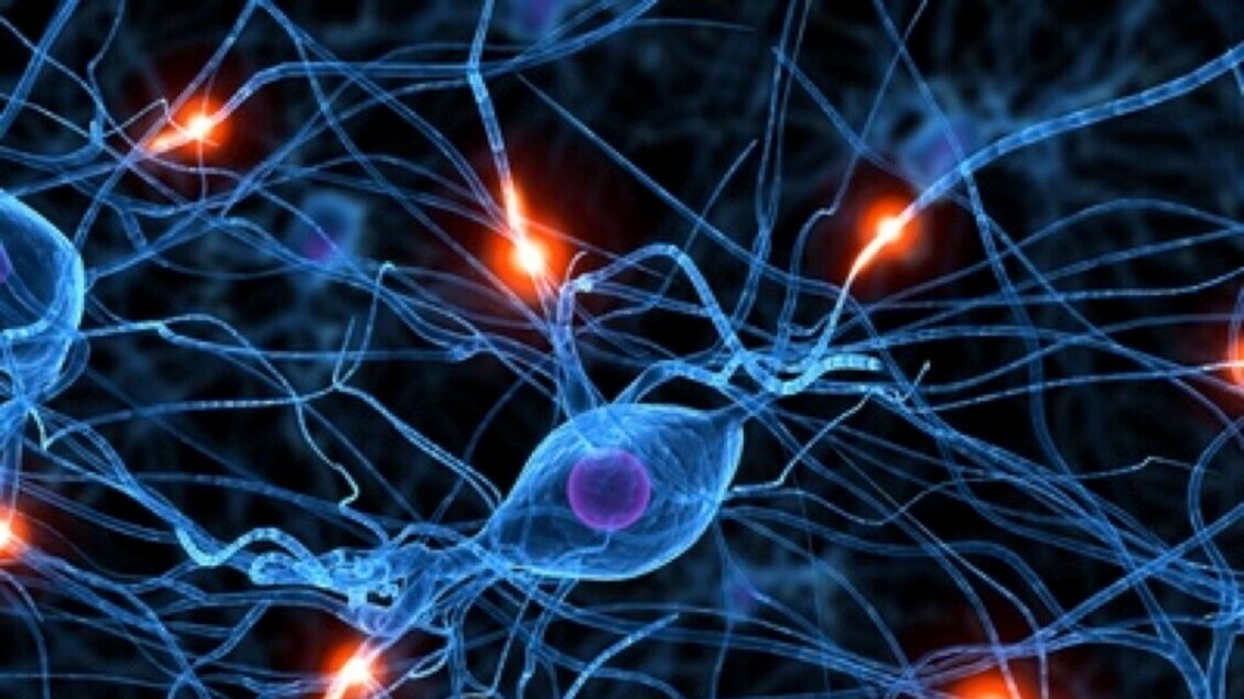Molekulare Hinweise auf Alzheimer und Parkinson entdeckt