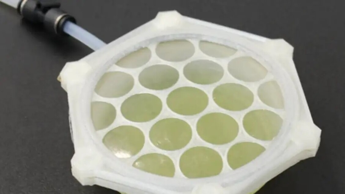 Bioplastics uit algen voor buitenaardse habitats