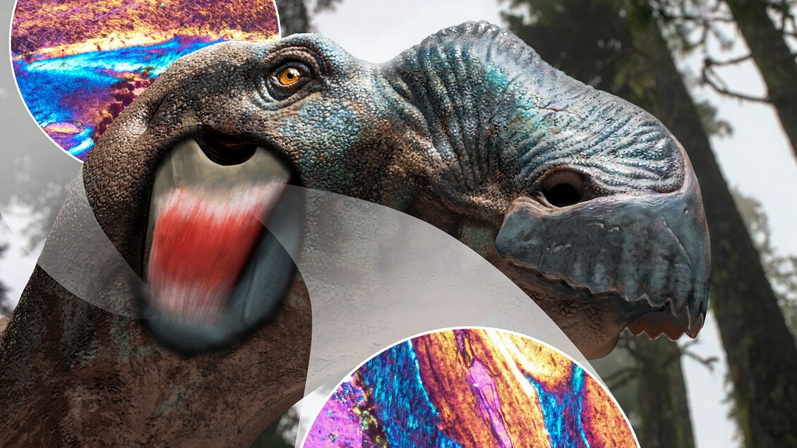 Dinosaurs Had Cheeks, Clues on Skull Bones