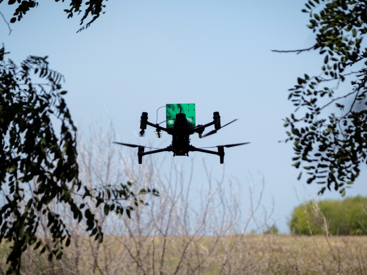 A nova profissão de destaque na tecnologia: o que faz um piloto de drone?