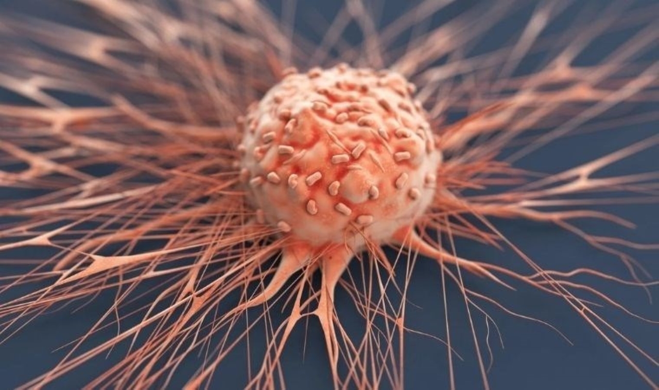 Médicaments vivants et vaccins personnalisés présentés au MIMIC 2025