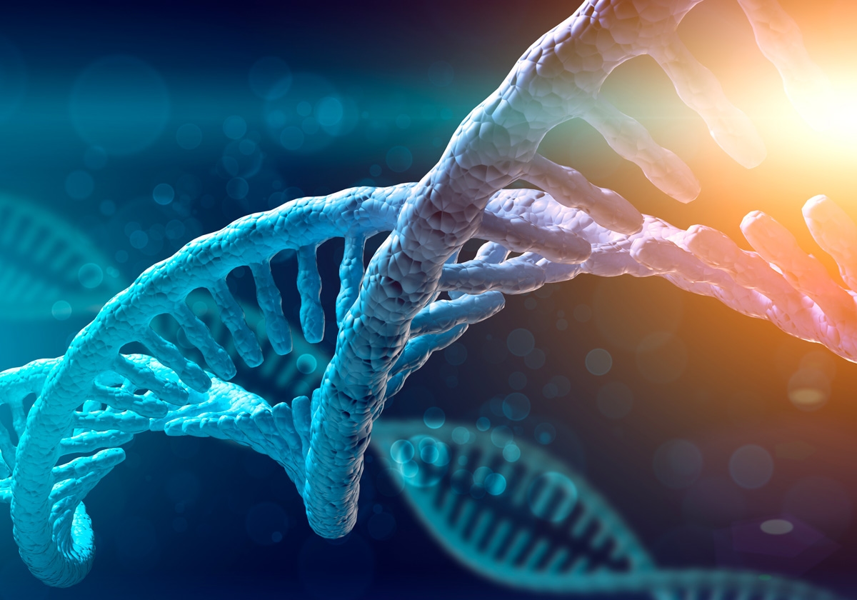 Scienza, da un dente il genoma di un vasaio: sequenziato il DNA più antico d’Egitto