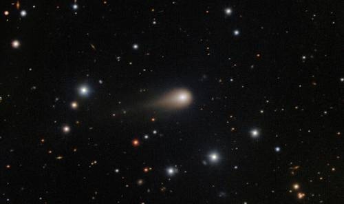 Interstellar Comet