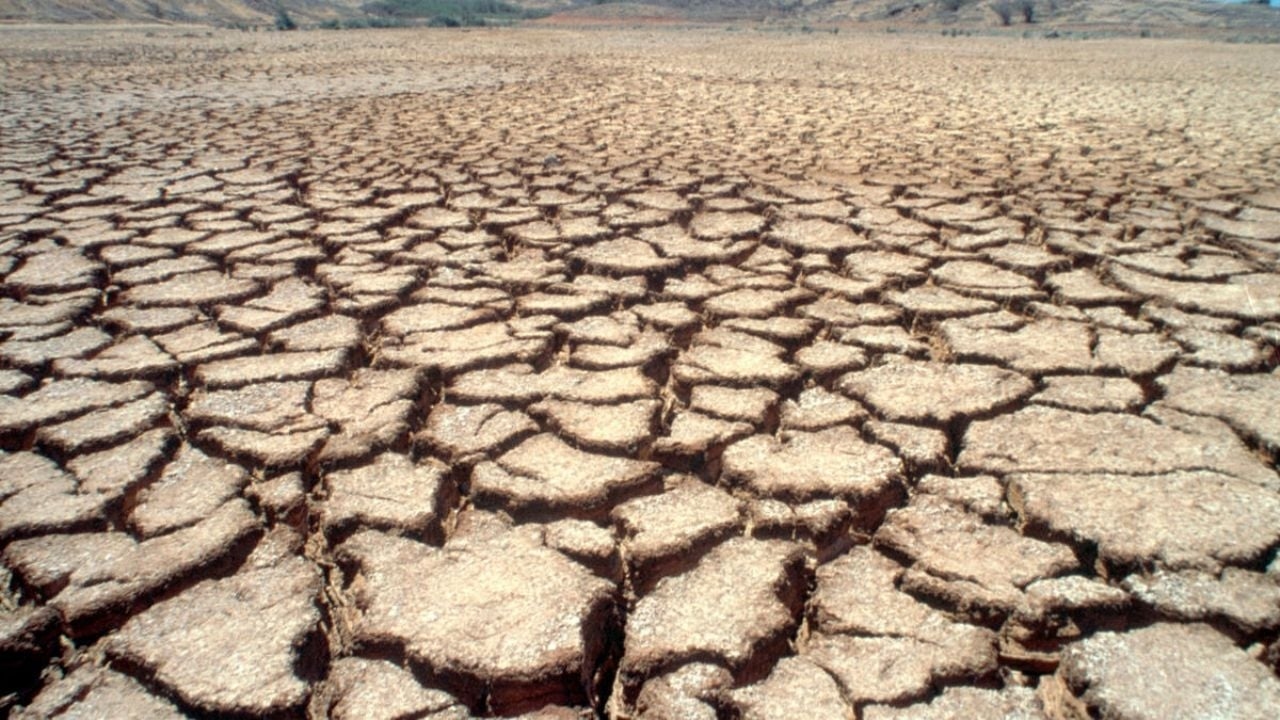 Regione delle valli Yaqui e Mayo: seminano grano e raccolgono debiti e incertezza