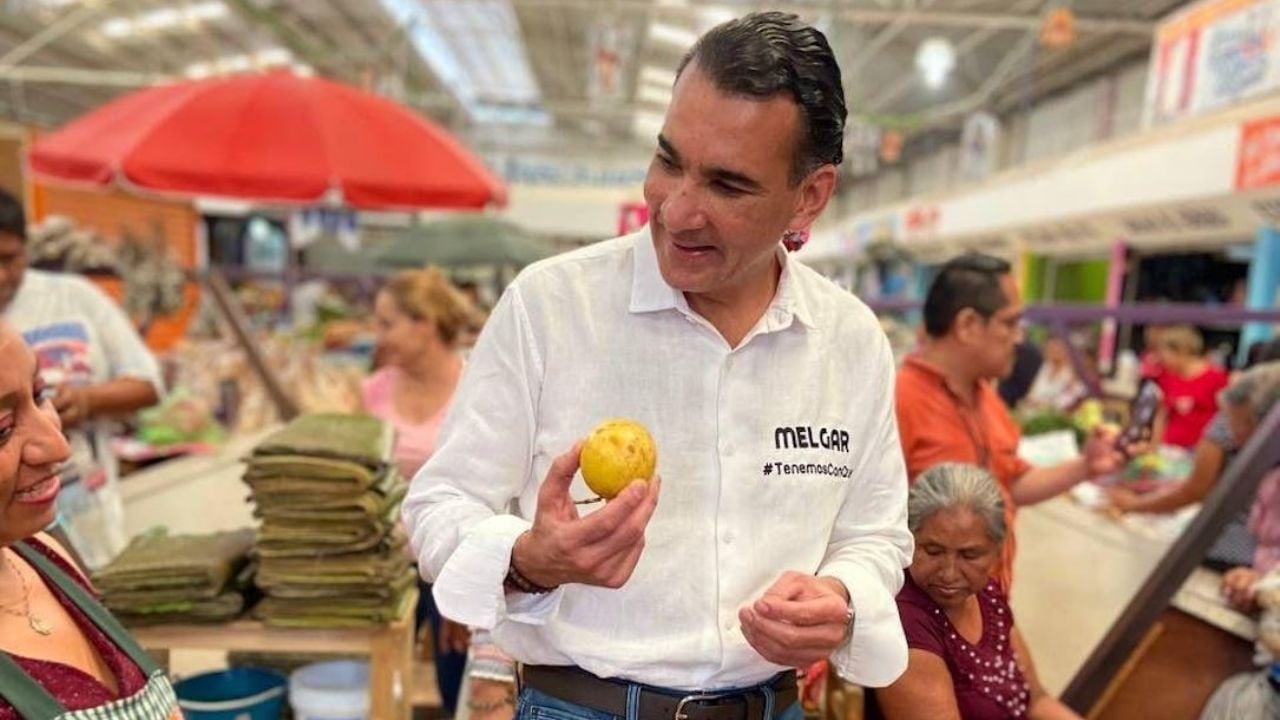 PVEM senator supports split with Morena in 2027: "We must never forget that there have been rats."