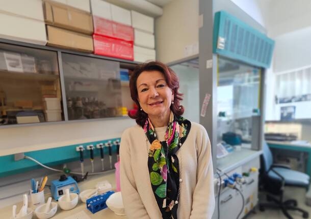 Tıp - Insubria Üniversitesi laboratuvarlarında süper dirençli bakterilere karşı yeni bir antibiyotik keşfedildi - - Varese Haberleri