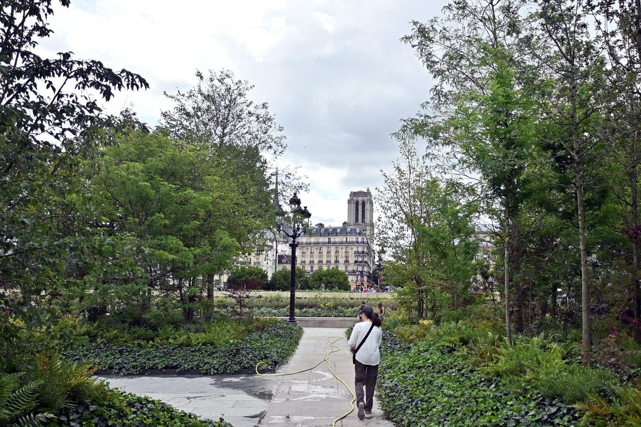 Климат: Париж сократил выбросы парниковых газов на четверть за десять лет