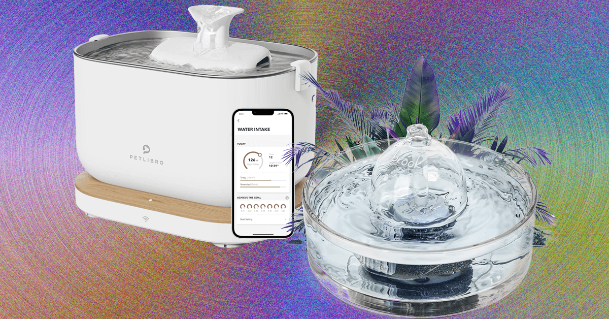 8 Best Cat Water Fountains, WIRED Tested and Reviewed (2025)
