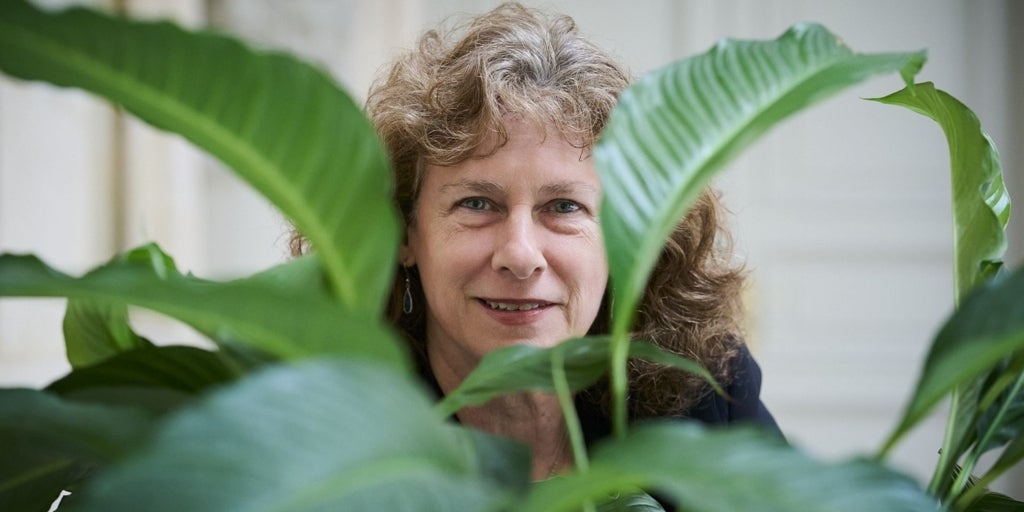 Camille Parmesan: "Türlerin yok olmasının temel nedeni iklim değişikliği değil, yaşam alanlarının kaybıdır."