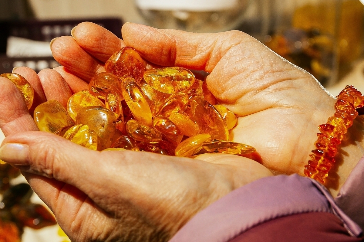 Los científicos han descubierto una nueva especie de escarabajo antiguo en ámbar báltico.